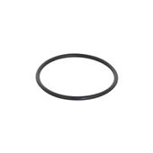 柴田科學(xué)SIBATA  用于 CP-300 的 O 型圈054330-3400,054330-3400